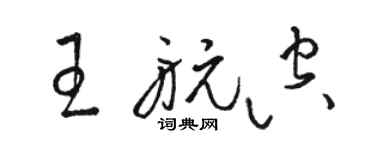 駱恆光王航空草書個性簽名怎么寫