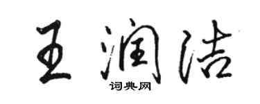 駱恆光王潤潔行書個性簽名怎么寫