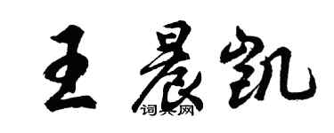 胡問遂王晨凱行書個性簽名怎么寫