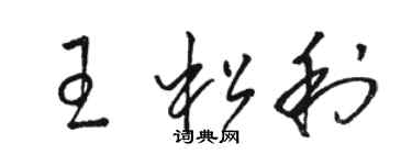 駱恆光王松利草書個性簽名怎么寫