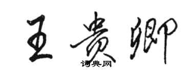 駱恆光王貴卿行書個性簽名怎么寫