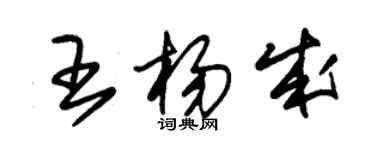 朱錫榮王楊成草書個性簽名怎么寫