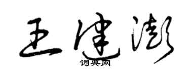 曾慶福王健澎草書個性簽名怎么寫