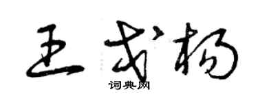 曾慶福王戈楊草書個性簽名怎么寫