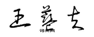 曾慶福王藍夫草書個性簽名怎么寫