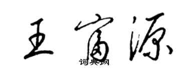 梁錦英王富源草書個性簽名怎么寫