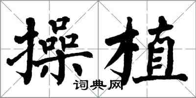 翁闓運操植楷書怎么寫