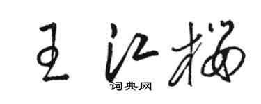 駱恆光王江櫻草書個性簽名怎么寫
