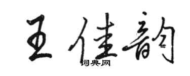 駱恆光王佳韻行書個性簽名怎么寫