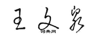 駱恆光王文泉草書個性簽名怎么寫