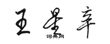 駱恆光王星辛行書個性簽名怎么寫