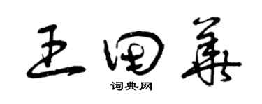 曾慶福王田華草書個性簽名怎么寫