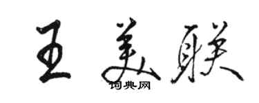 駱恆光王美聯行書個性簽名怎么寫