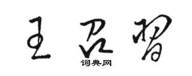駱恆光王召習草書個性簽名怎么寫