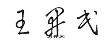 駱恆光王開民草書個性簽名怎么寫