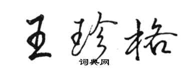 駱恆光王珍格行書個性簽名怎么寫