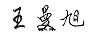 駱恆光王曼旭行書個性簽名怎么寫