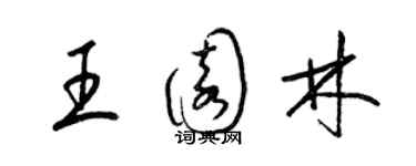 梁錦英王園林草書個性簽名怎么寫