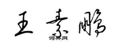 梁錦英王素鵬草書個性簽名怎么寫