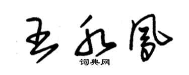朱錫榮王水鳳草書個性簽名怎么寫