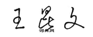 駱恆光王昆文草書個性簽名怎么寫