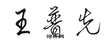 駱恆光王普先行書個性簽名怎么寫