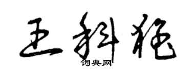 曾慶福王科猛草書個性簽名怎么寫