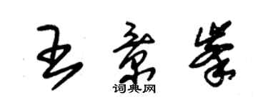 朱錫榮王景峰草書個性簽名怎么寫