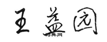 駱恆光王益園行書個性簽名怎么寫