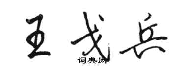 駱恆光王戈兵行書個性簽名怎么寫