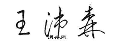 駱恆光王沛森草書個性簽名怎么寫