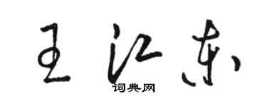 駱恆光王江東草書個性簽名怎么寫