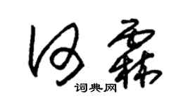 朱錫榮何霖草書個性簽名怎么寫