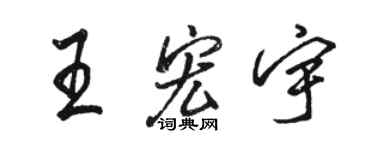 駱恆光王宏宇行書個性簽名怎么寫