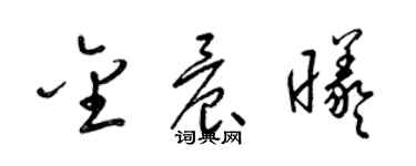 梁錦英金晨曦草書個性簽名怎么寫