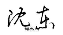 曾慶福沈東草書個性簽名怎么寫