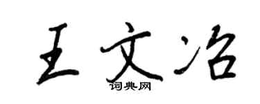 王正良王文冶行書個性簽名怎么寫