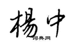 王正良楊中行書個性簽名怎么寫
