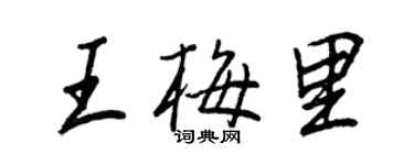 王正良王梅里行書個性簽名怎么寫