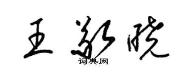 梁錦英王敬曉草書個性簽名怎么寫