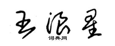 朱錫榮王浪星草書個性簽名怎么寫