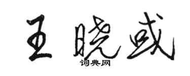 駱恆光王曉或行書個性簽名怎么寫