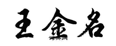 胡問遂王金名行書個性簽名怎么寫