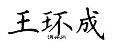 丁謙王環成楷書個性簽名怎么寫