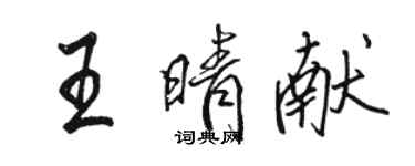 駱恆光王晴獻行書個性簽名怎么寫