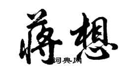 胡問遂蔣想行書個性簽名怎么寫