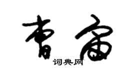 朱錫榮曹宙草書個性簽名怎么寫