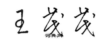 駱恆光王茂茂草書個性簽名怎么寫