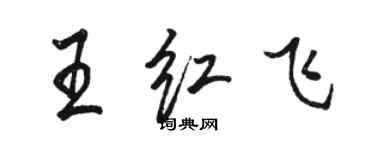 駱恆光王紅飛行書個性簽名怎么寫