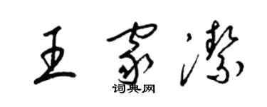 梁錦英王家潔草書個性簽名怎么寫